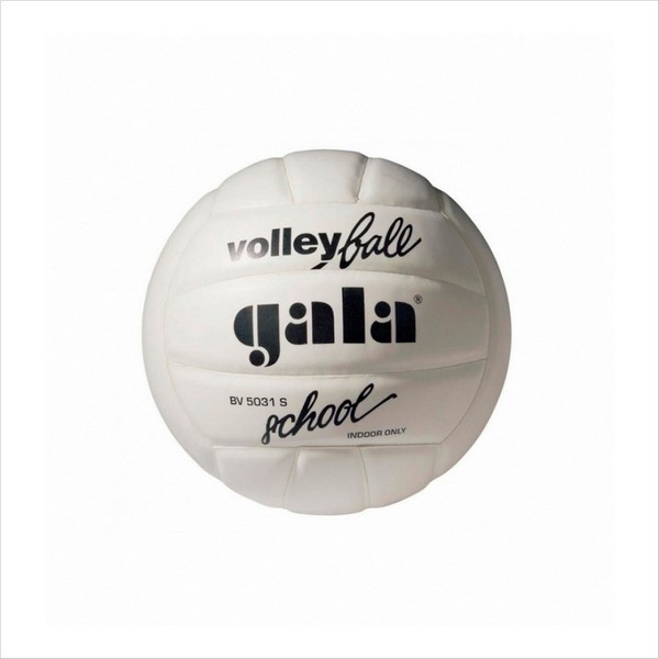 Волейбольный мяч GALA School Fоам BV 5031 L
